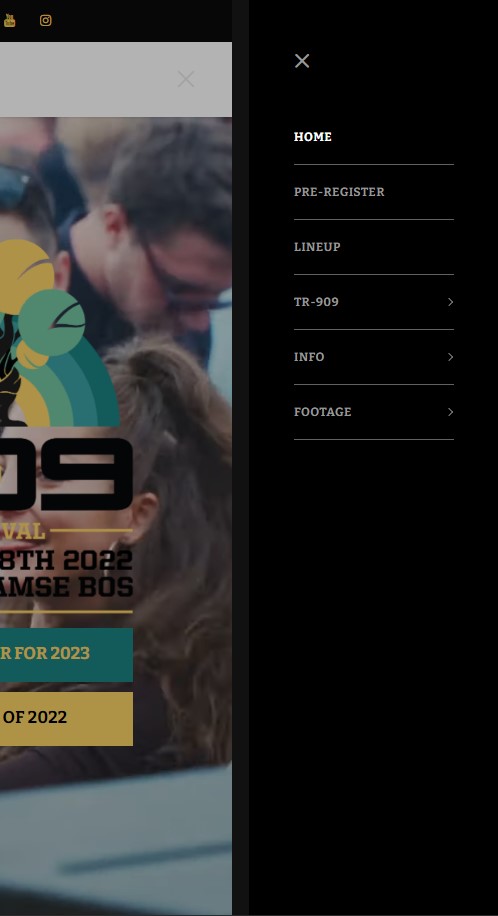 WebSpaceZ Webdesign 909 Festival