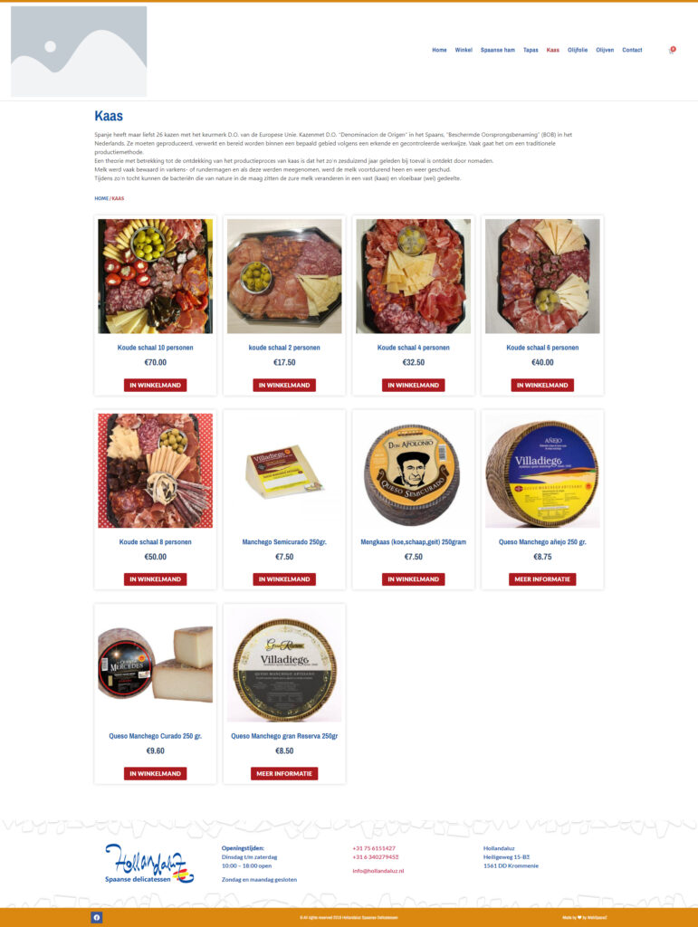 WebSpaceZ Webdesign Hollandaluz