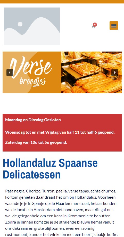 WebSpaceZ Webdesign Hollandaluz