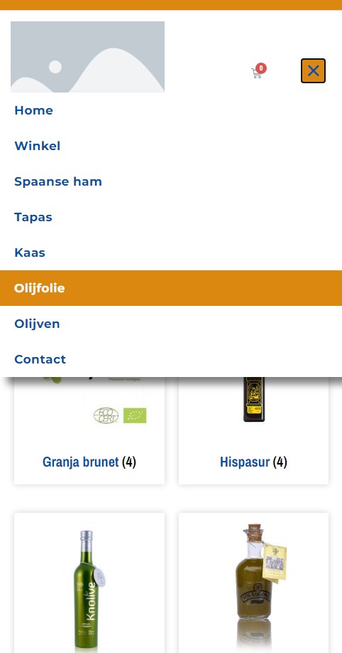 WebSpaceZ Webdesign Hollandaluz