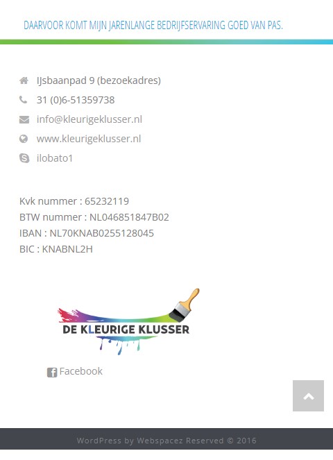 WebSpaceZ Webdesign Kleurige Klusser