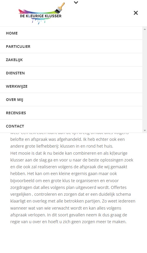 WebSpaceZ Webdesign Kleurige Klusser