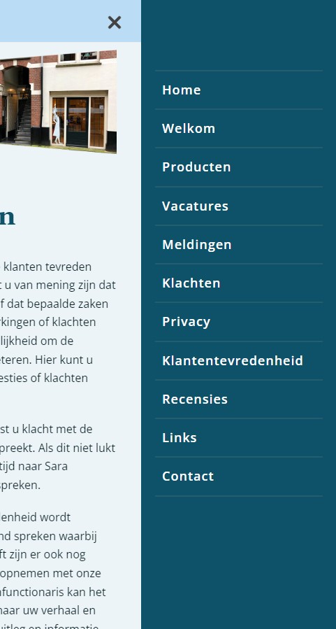 WebSpaceZ Webdesign Sara Thuis Zorg