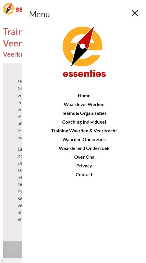 WebSpaceZ Webdesign Essenties