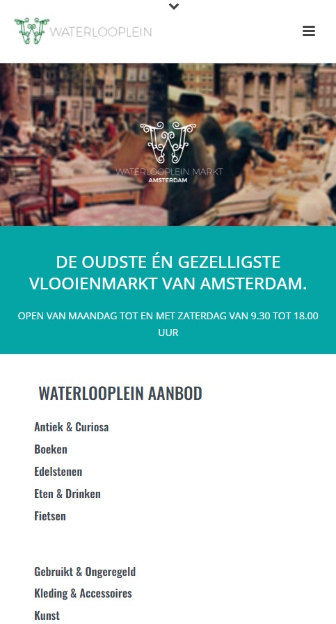 WebSpaceZ Webdesign WaterlooPlein