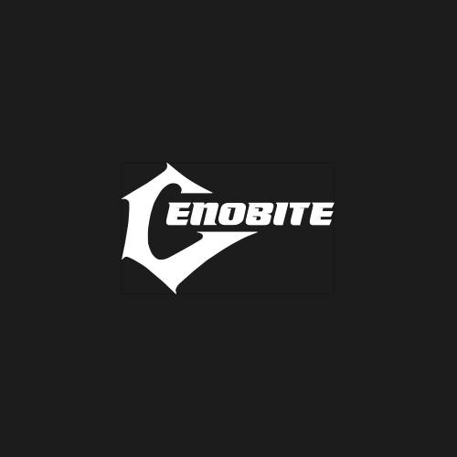 WebSpaceZ Webdesign Cenobite Records