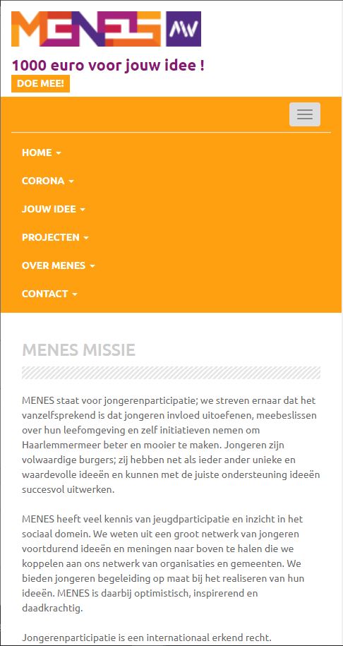 WebSpaceZ Webdesign Menes